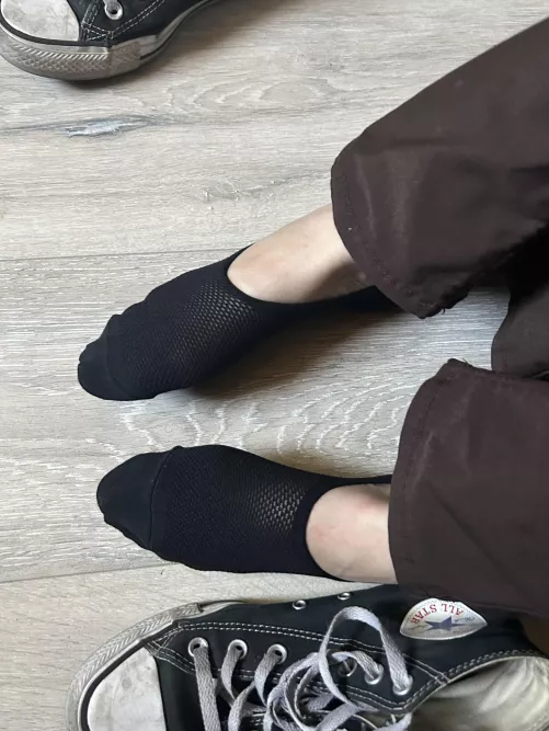 simple black socks for you to sniff [f]