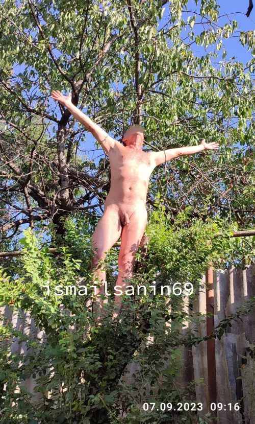 Sunny Thursday in my garden