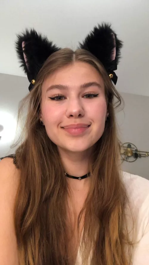 you'd like to pet that cute cat, wouldn't you