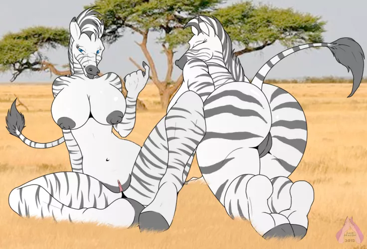 Zebra girls [FF] (Zp92)