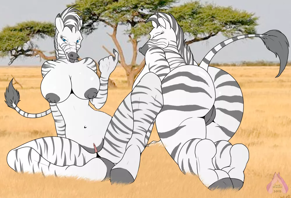 Zebra girls [FF] (Zp92)