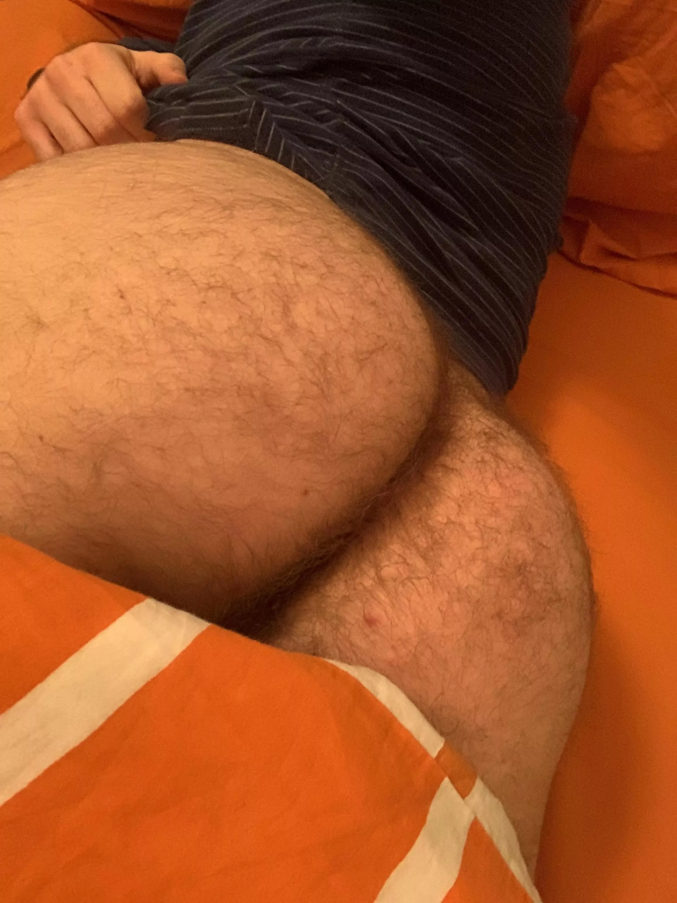 24 in shape DL bottom with a big furry ass. 😏 DMs are open