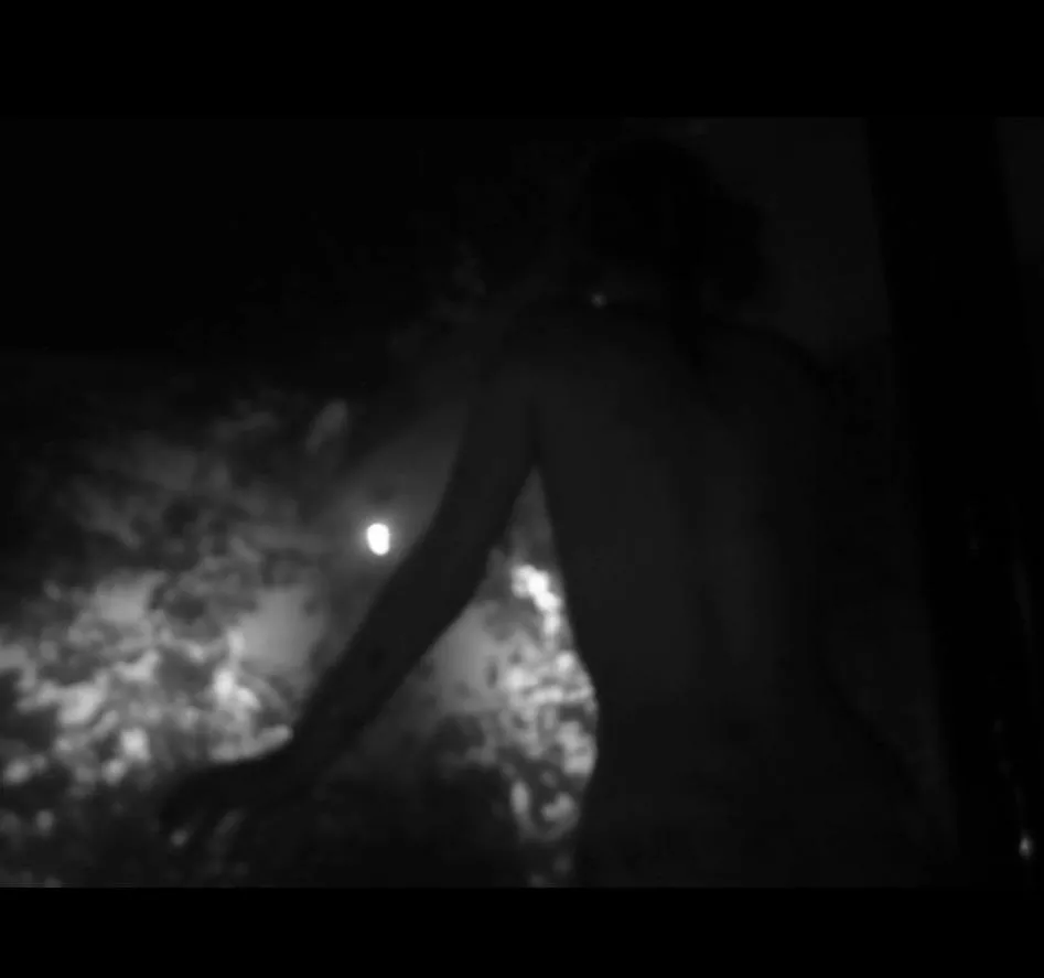 B&W back