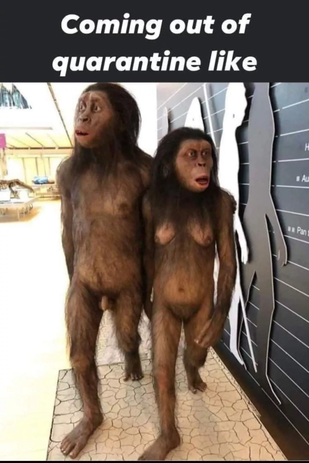 Funny pic