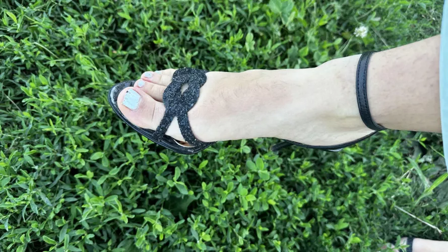 Give themm a lick F19