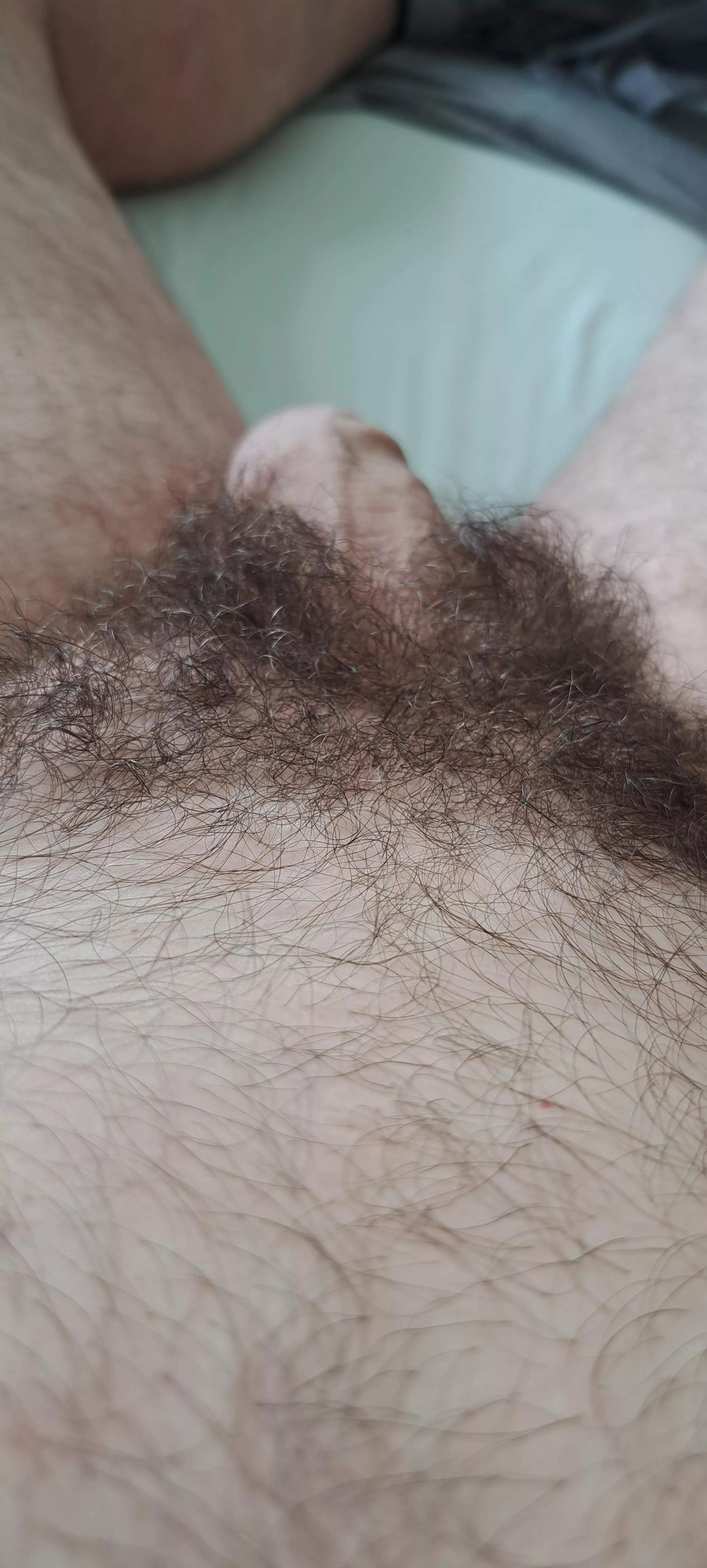 Hairy is the best