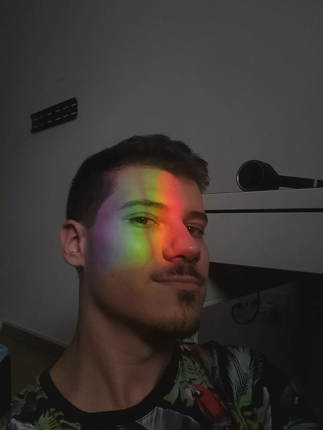 Once a day the room is 2*gay