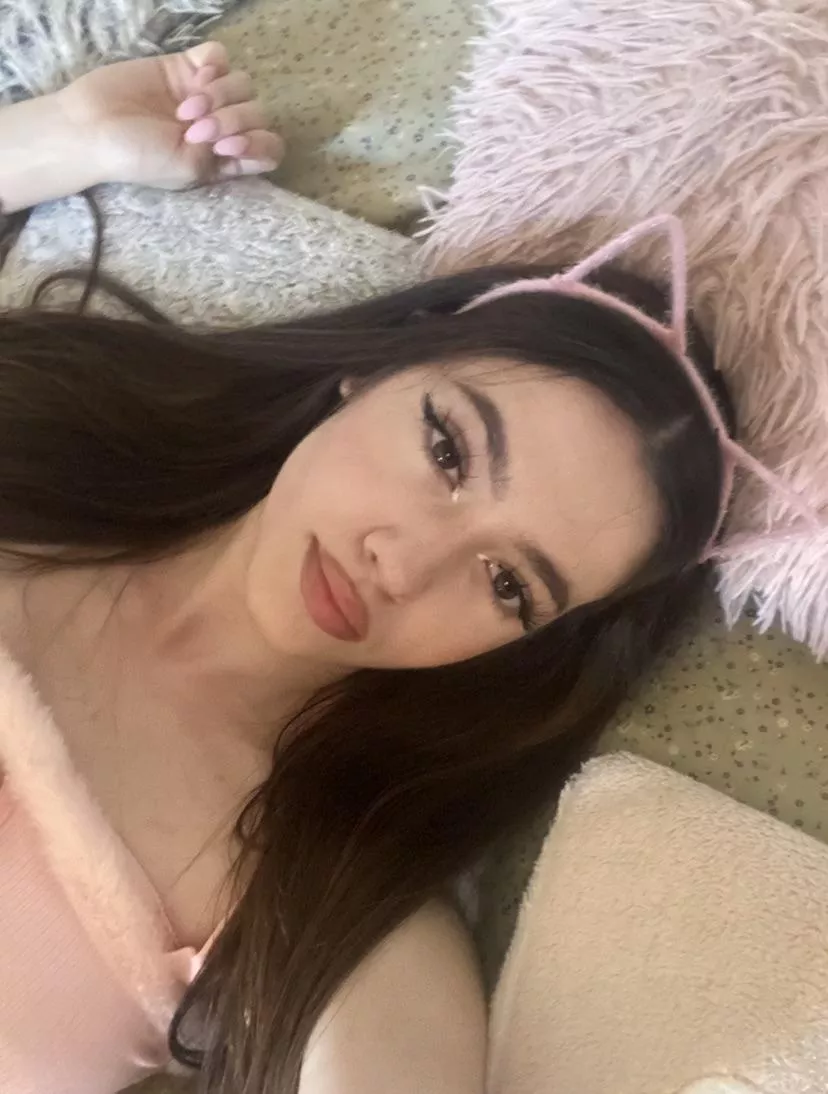 Pet me🐾
