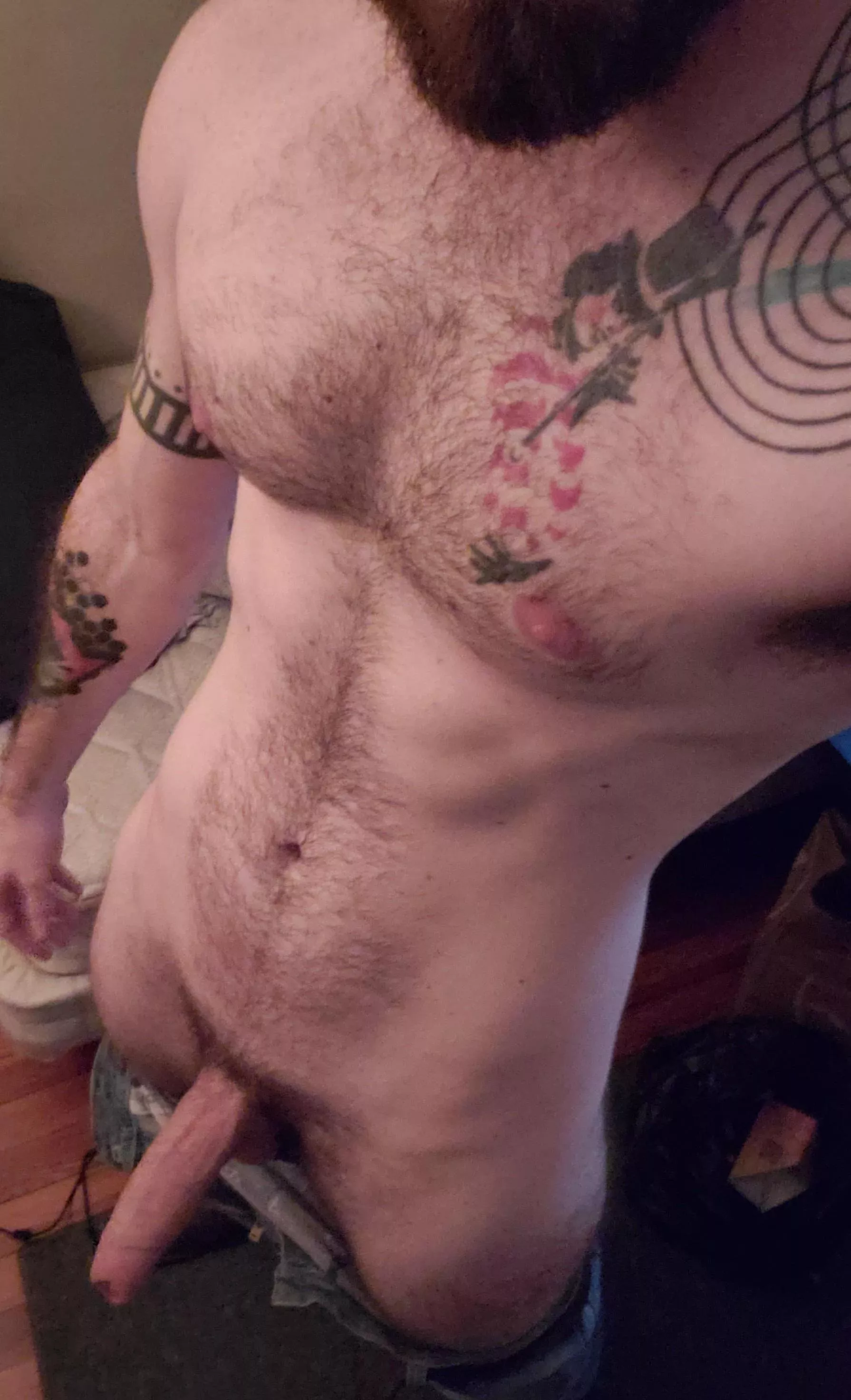 This big bull will leaving gaping and begging for more