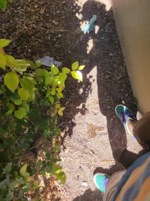 anyone like it outside