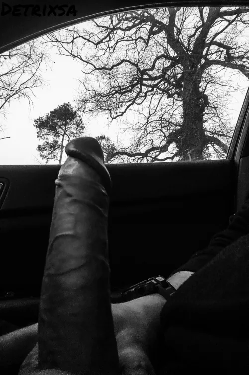 B/W in my car