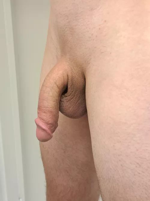 Does it look okay shaved??