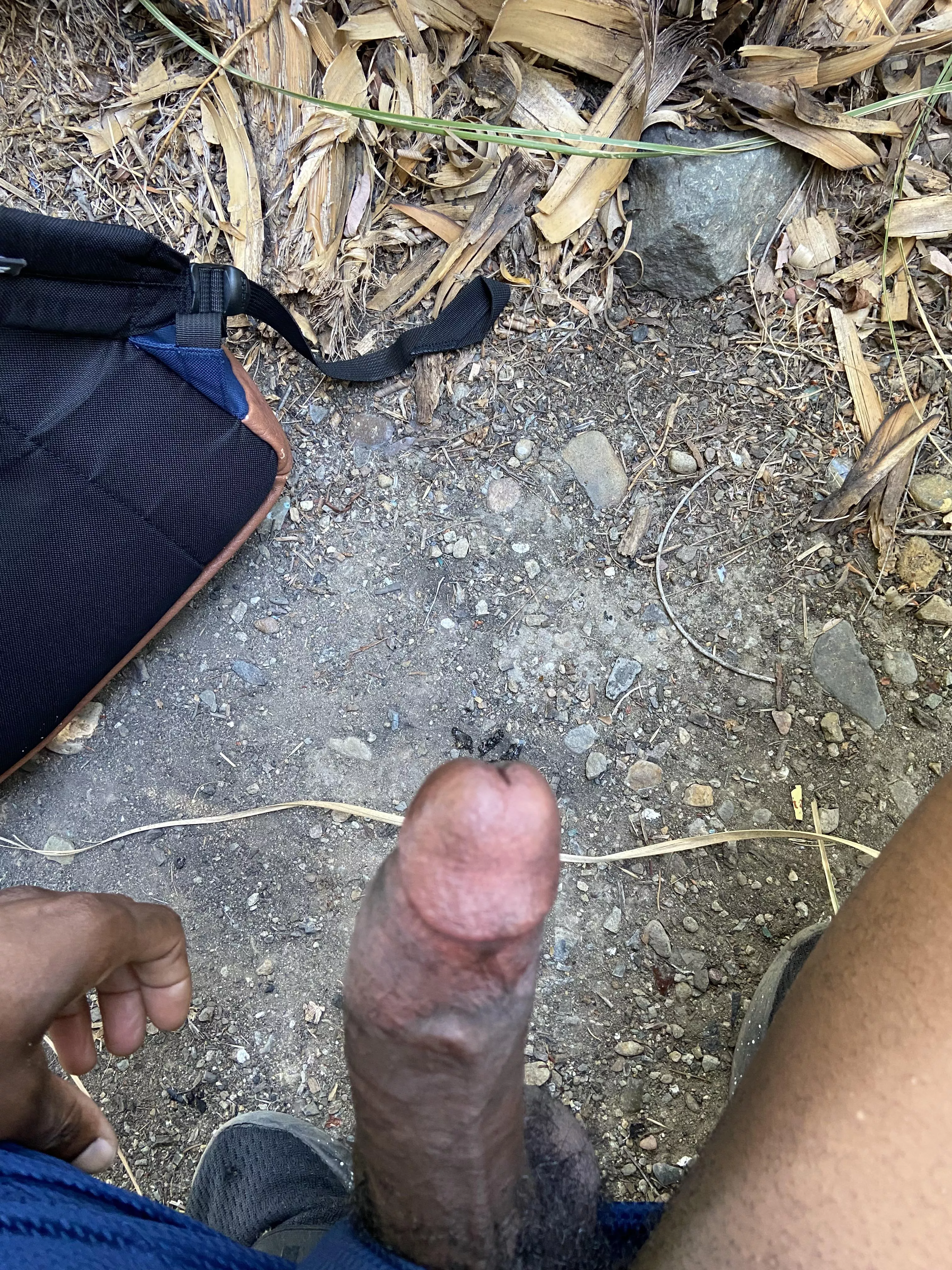 Exploring trails🌲