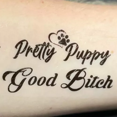 Finally got them, perfect to tell everyone what kind of puppy I am! 🤭