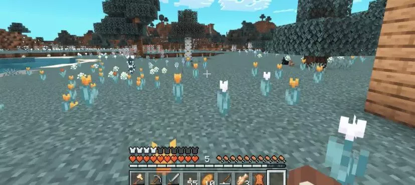 Minecraft has strange filter while streaming