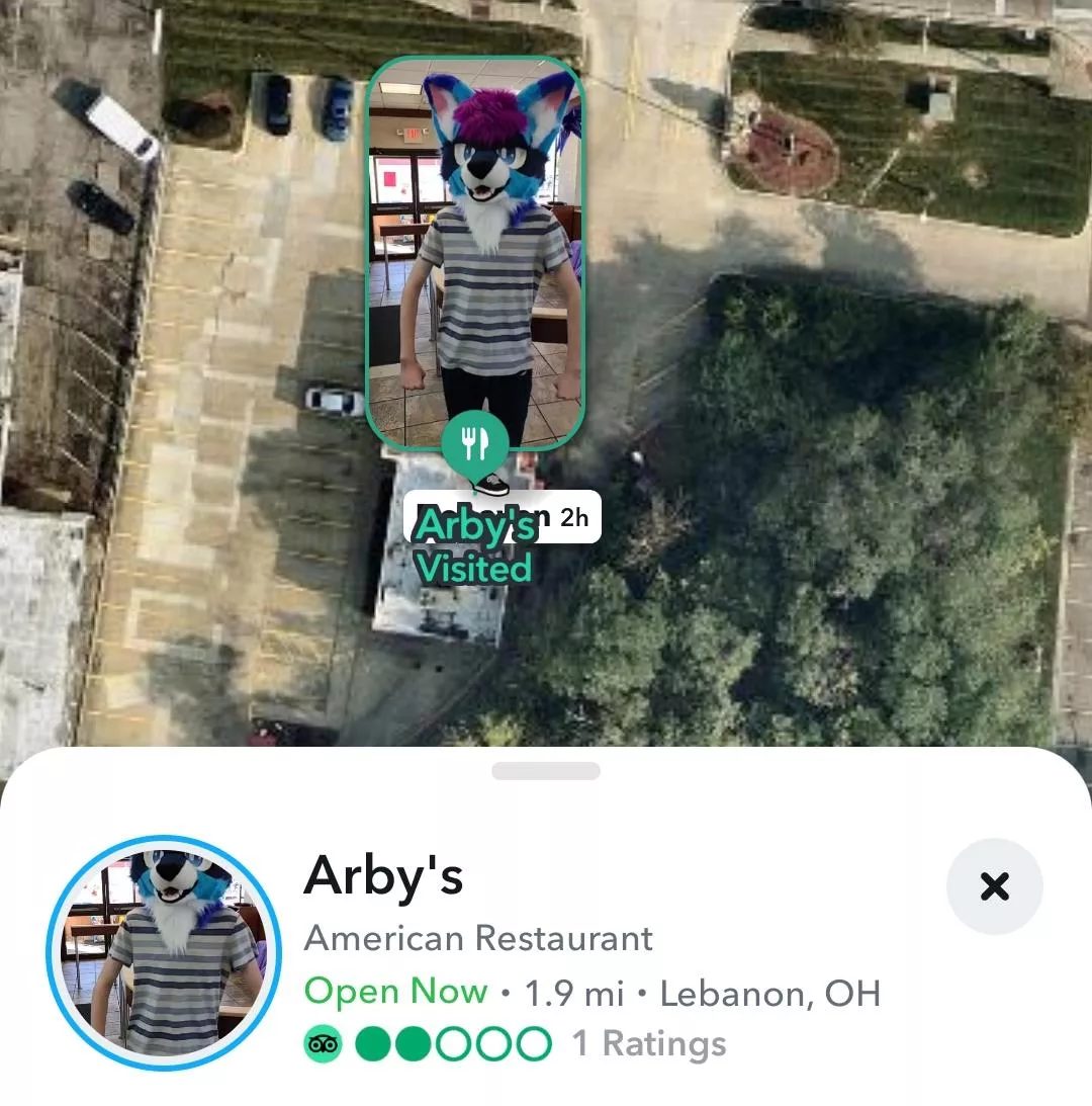 My fursuit is the face of the Lebanon Ohio Arby's on Snapchat (my friend is wearing it)