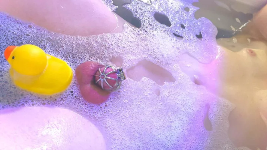 Squeaky clean cage 🥰 (24)