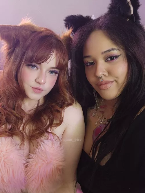 What's better than 1 catgirl?