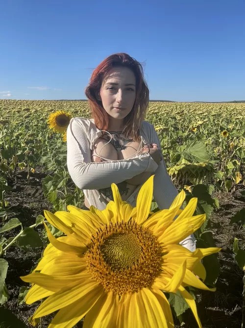 Where did you look 1st, and 2nd ...