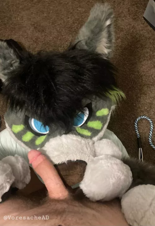 Your POV after you call me a Good Boy~