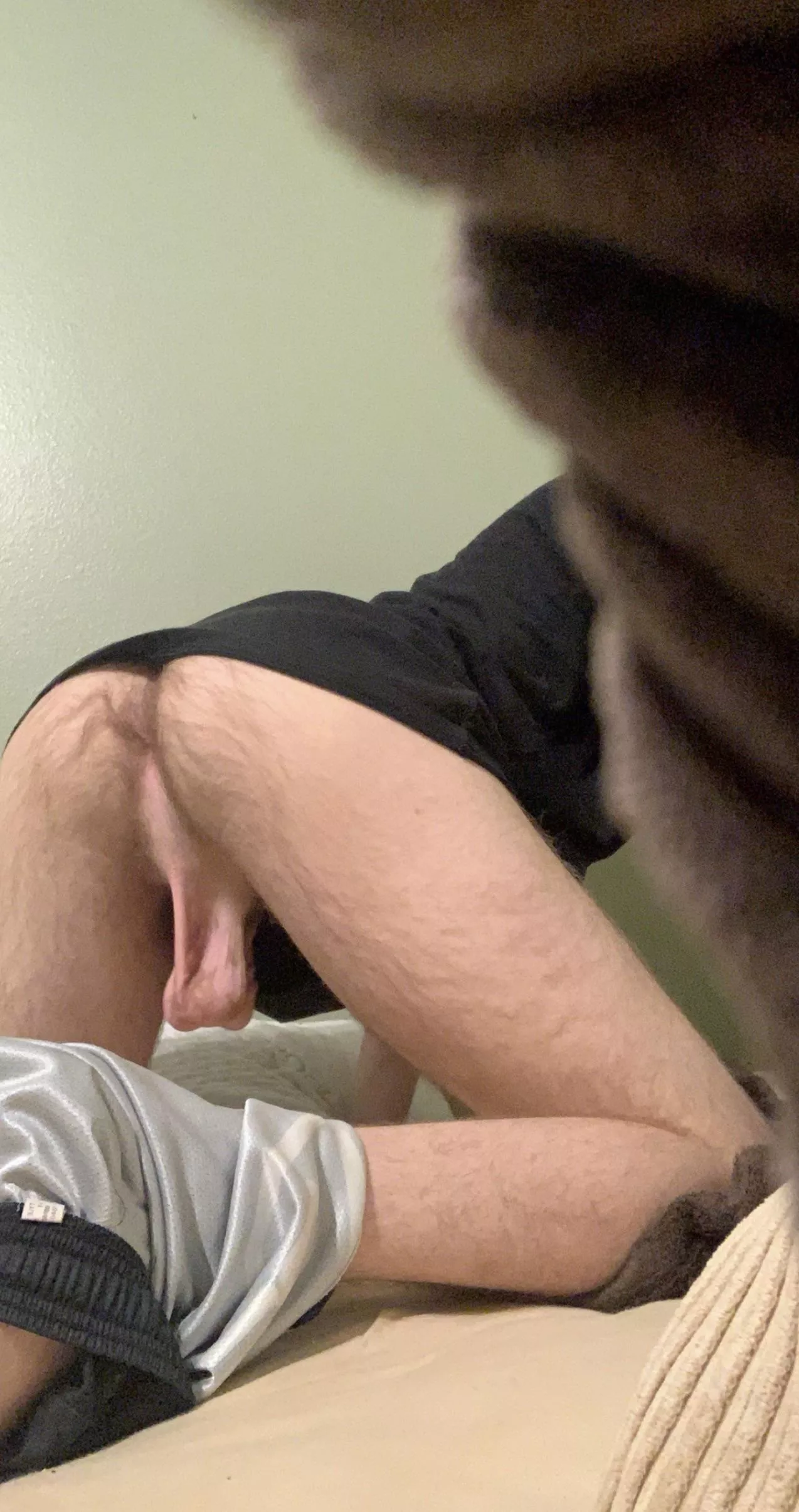 18| low hangers and a furry hole