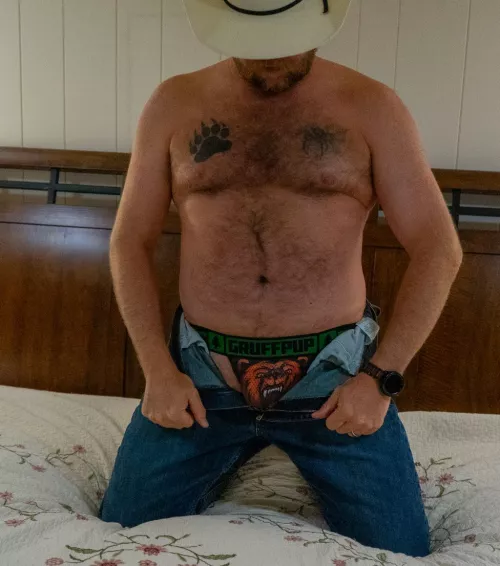 Don't approach the bear, unless you want to get mauled [43]