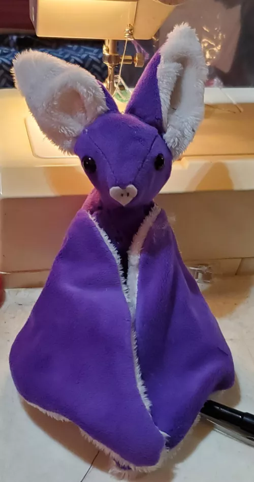 I love bats and decided to learn how to sew and make plushies of them. Here is my second complete bat!
