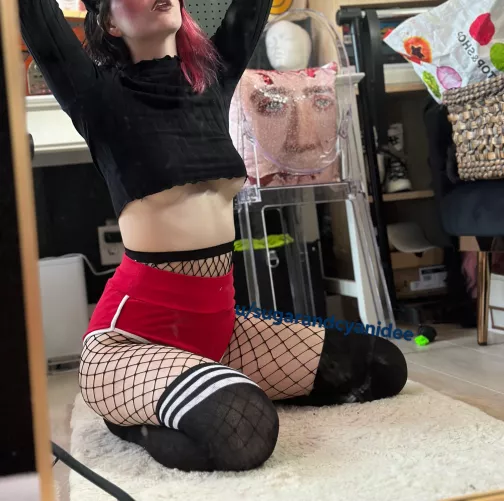 Just a lil looksie today🥰