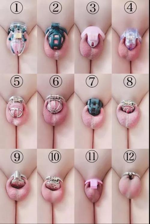 Micro cages! - what number are you?