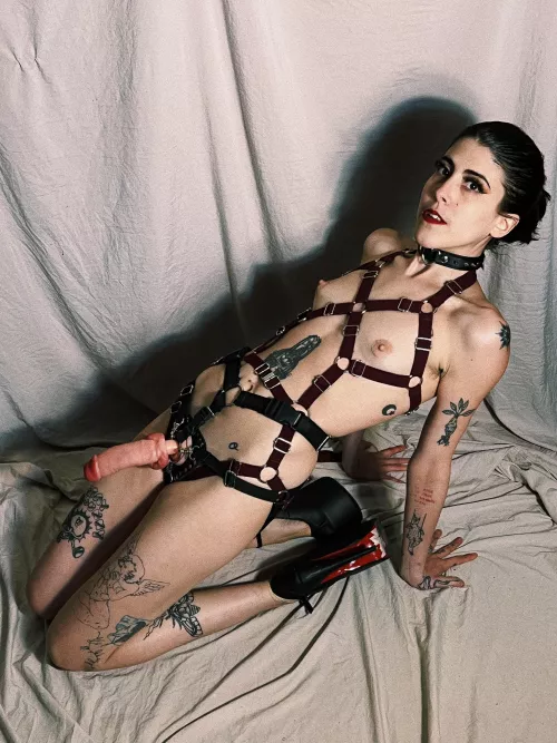 Tell the truth, would you like my big cock in your mouth each morning or you are scared?