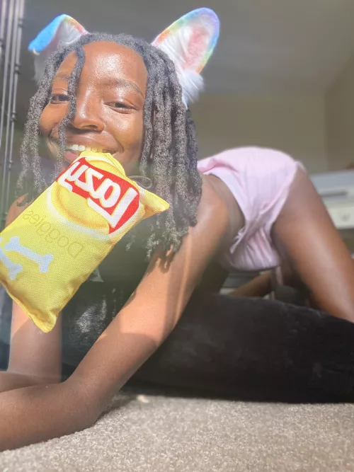 Wanna play fetch with a soaked padded pup? 🐾💞