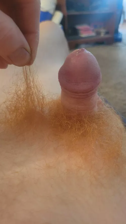 When your pubes are bigger. Dms open for compares and bets