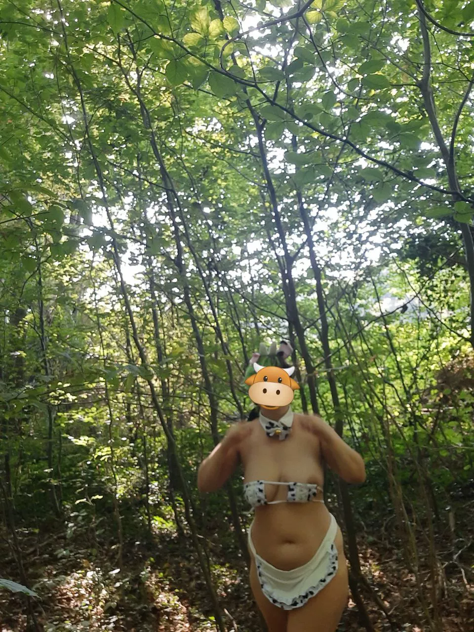 A wild hucow appeared..