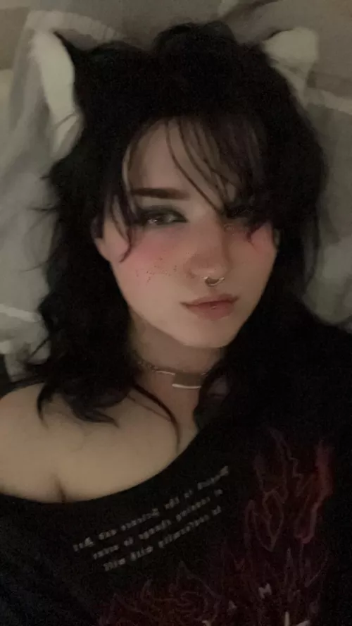 Cuddles??? I promise not to bite🥺…maybe