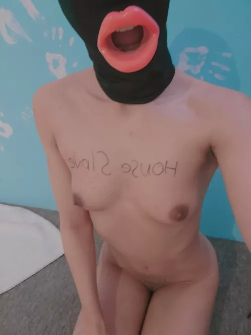 House slaves take care of alll of master's, as a pet, a toilet, a beat toy🖤