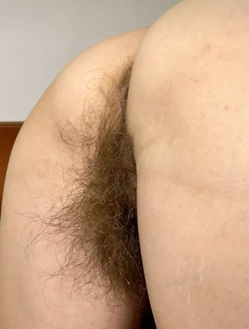 I don’t know which is hairiest, my asshole or pussy.
