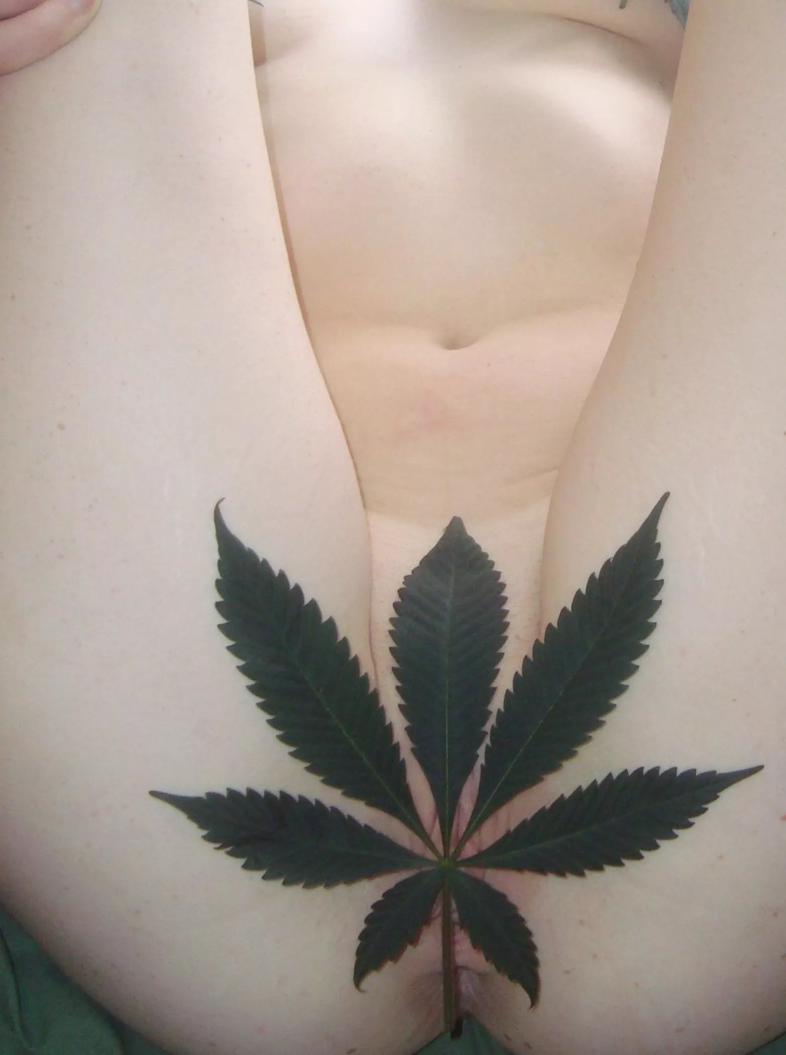 I just shaved so no (f)orest through the tree 😜