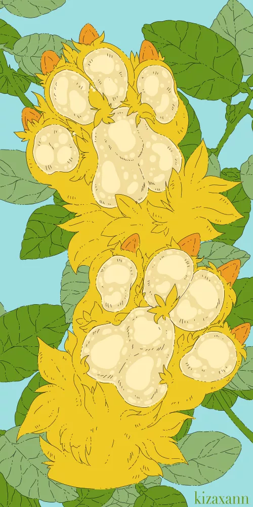 Lemon scented paws by me