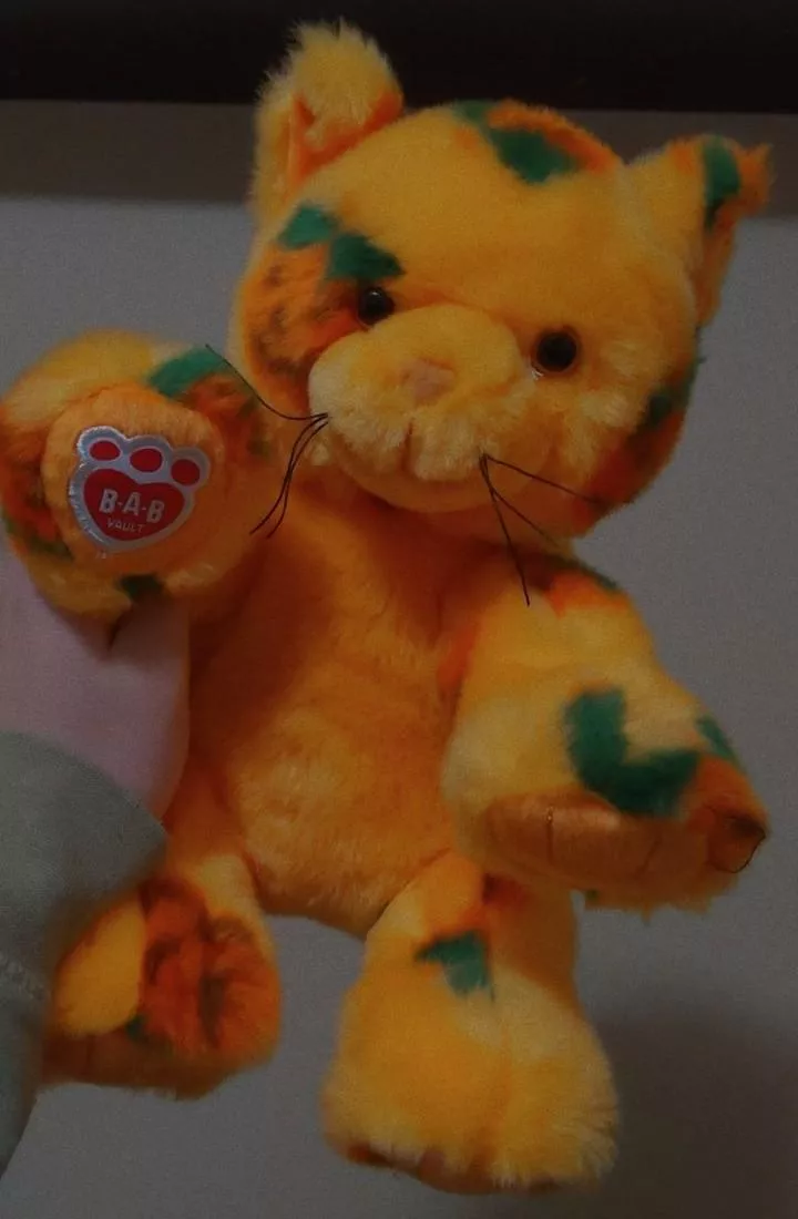 Mister took me to Build-A-Bear after work! 🎃🧡