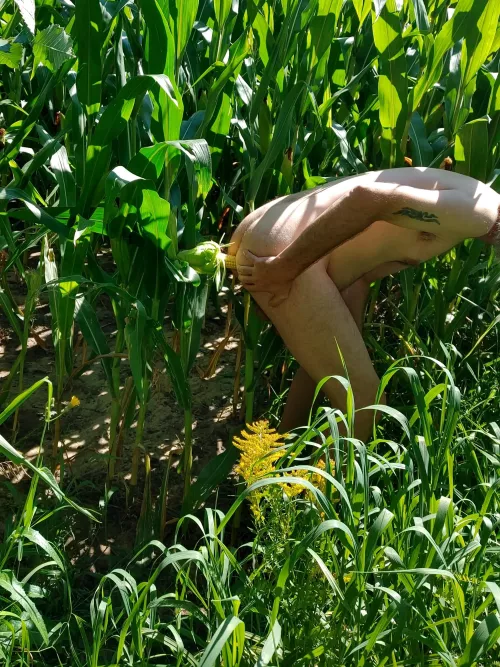 New meaning to corn hole. Would you try this too?
