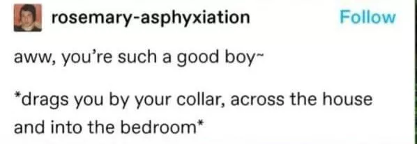 This is the life I want