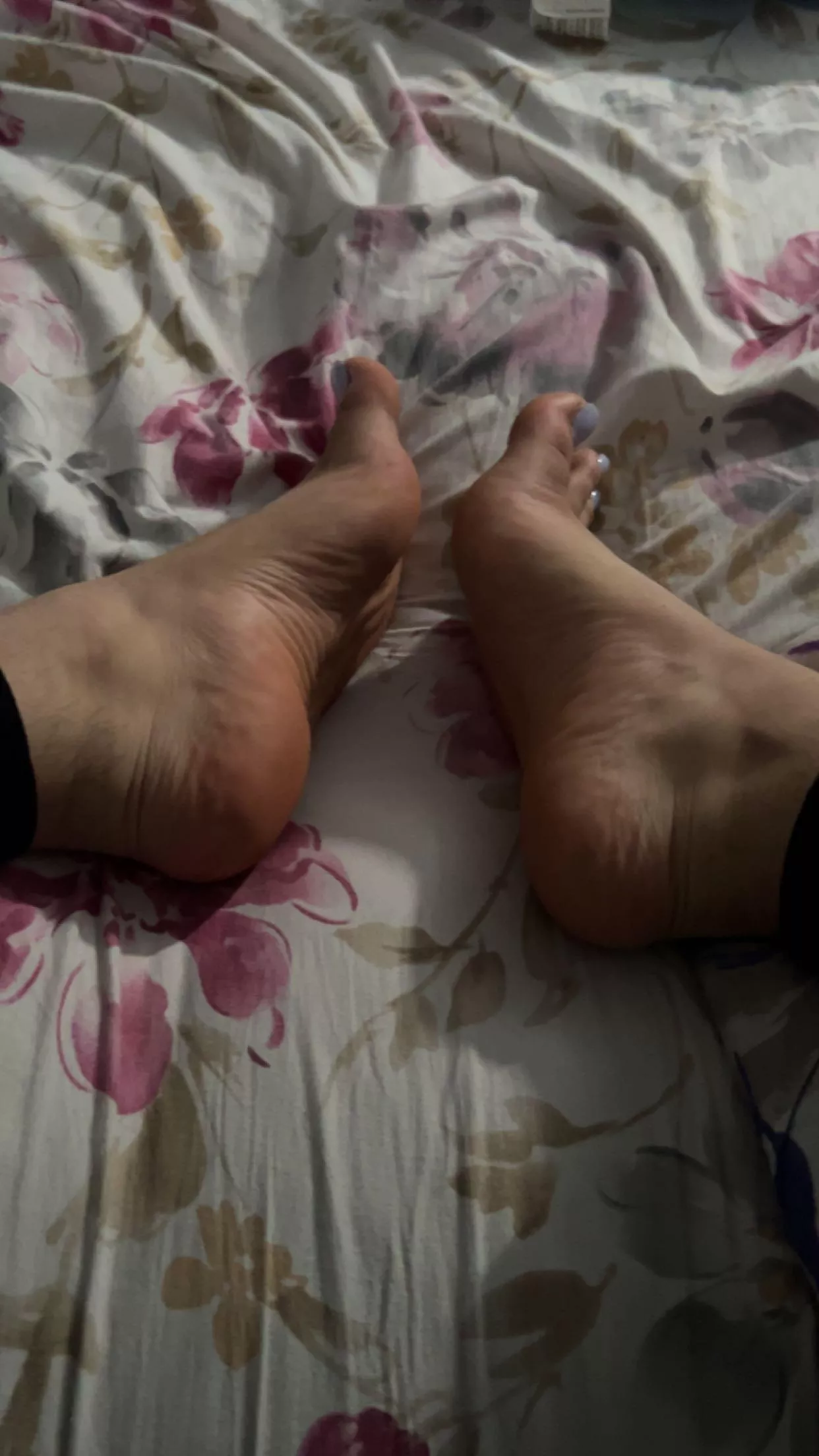 What did you think about my arches