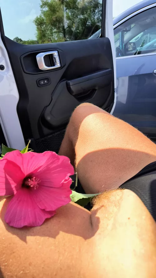 Would you like to make a between the thigh cream pie?