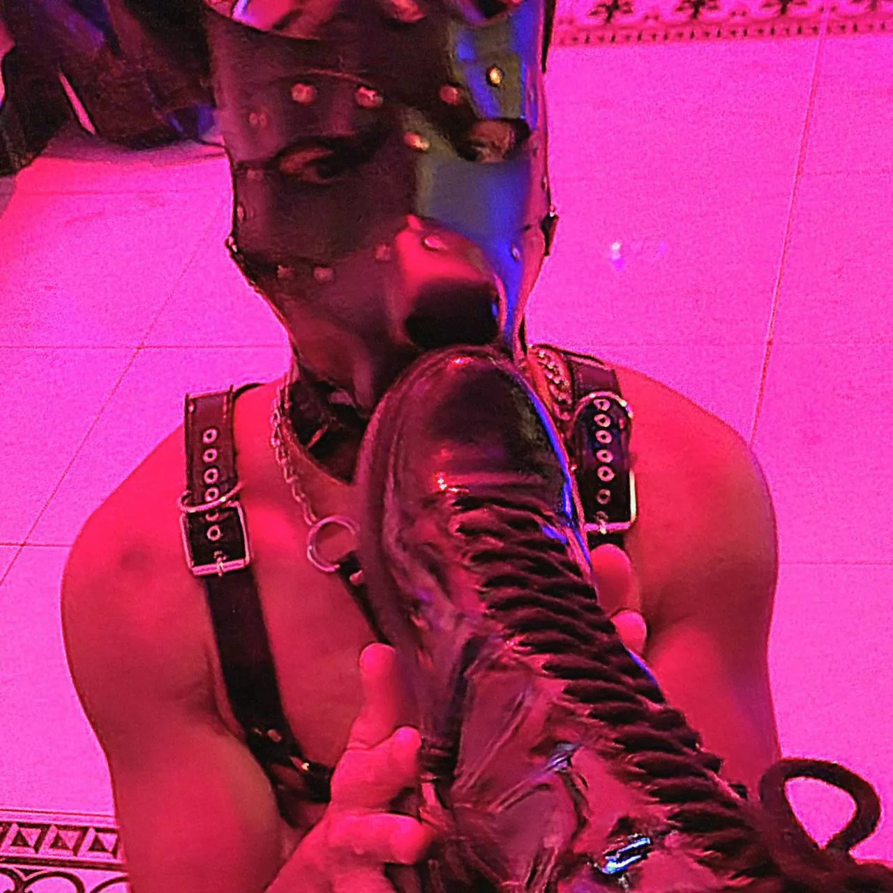 A ladybug willing to serve me and fulfill all my desires. [domme]