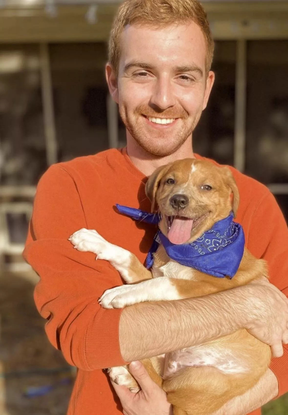 A little life update…everyone meet Ransom! 🐶