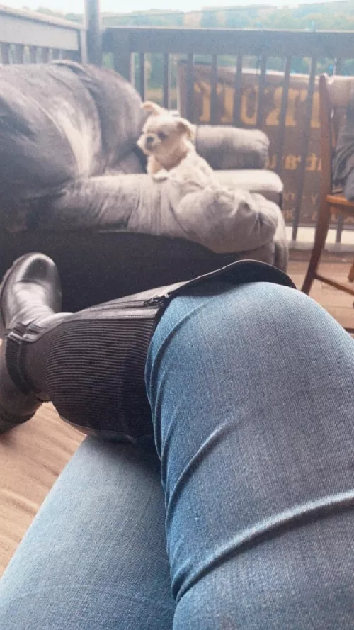 Best Photo Bomb Ever