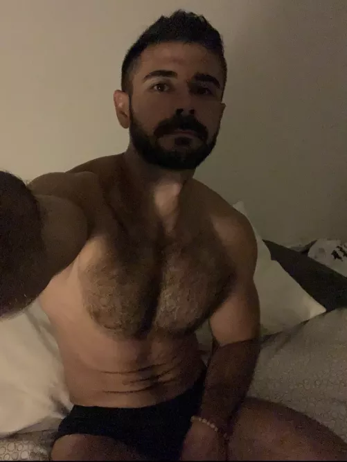 Do u like teddy bears?