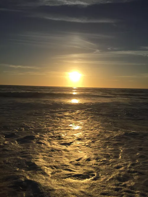 Do you want to go for a swim?