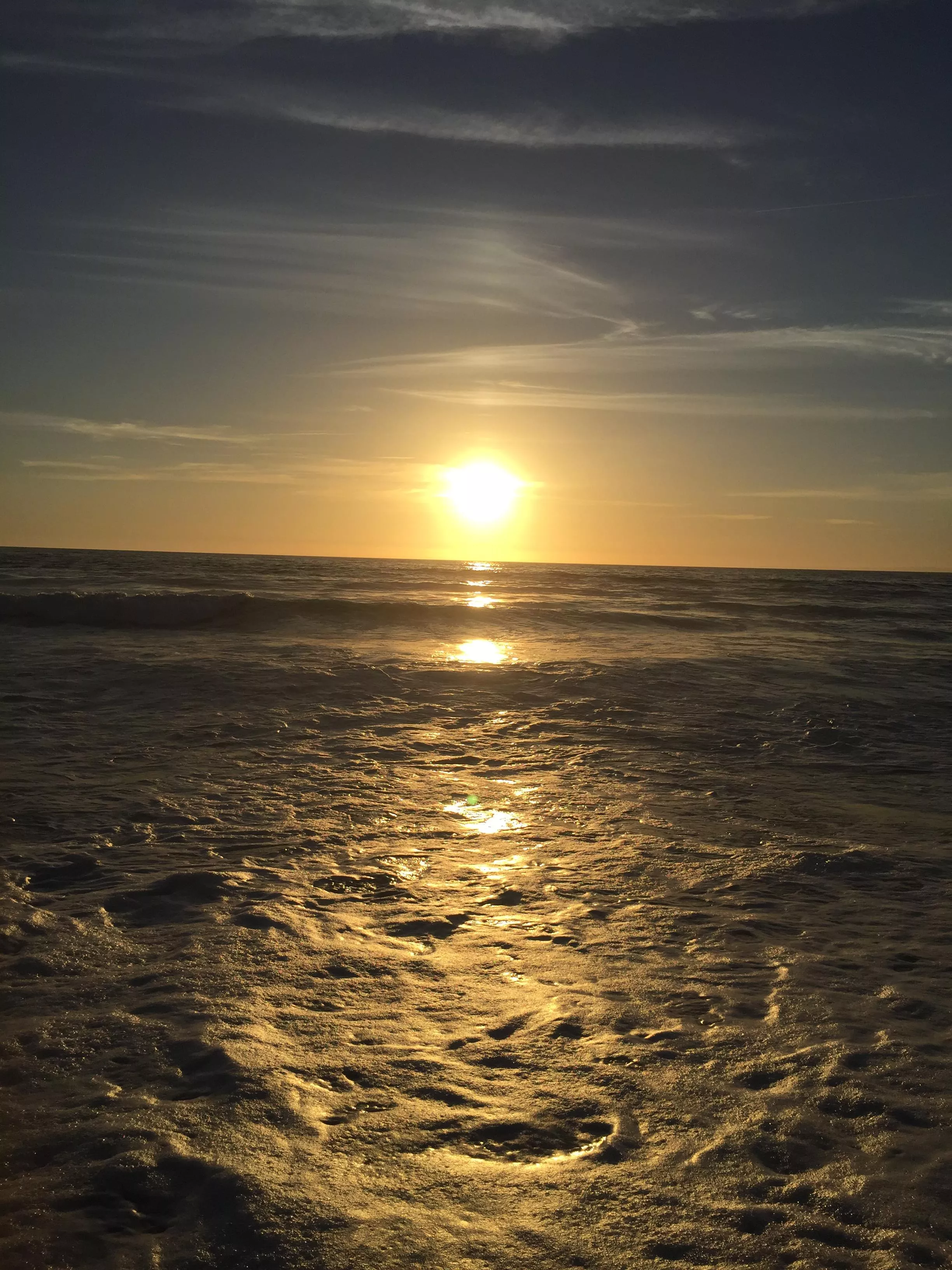 Do you want to go for a swim?