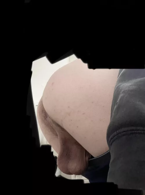 Eat my ass and tug my balls